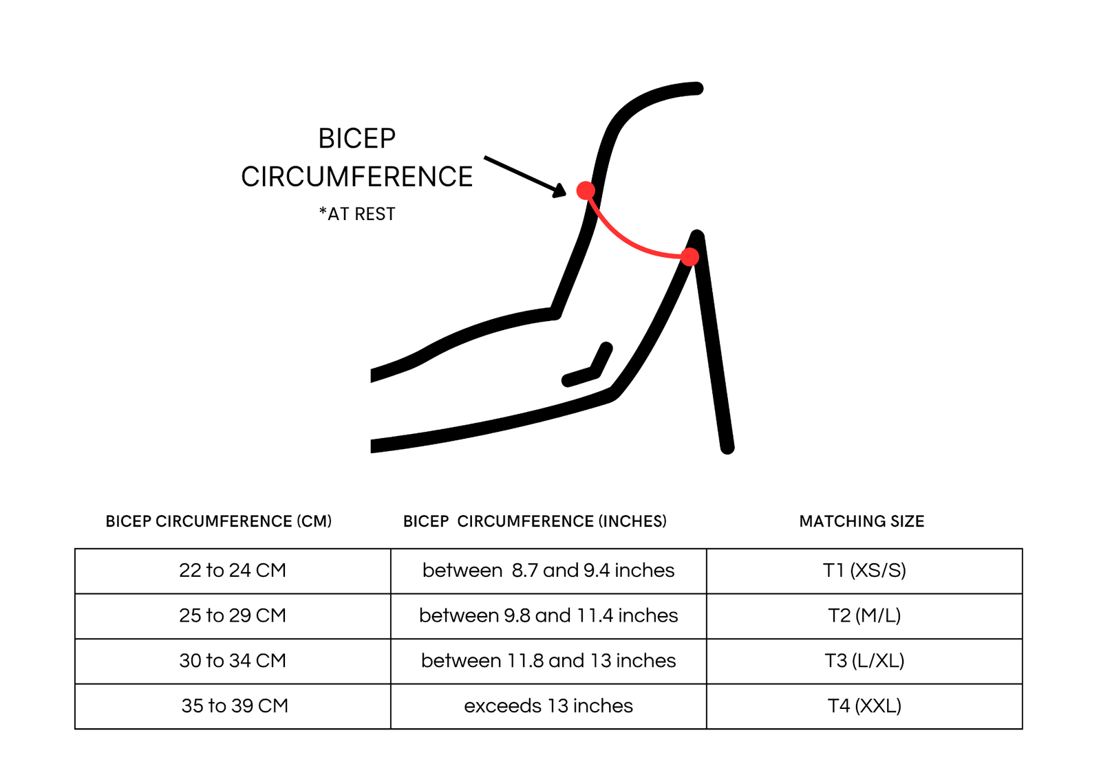 NO STRAIN Evolution size chart showing bicep circumference and matching sizes