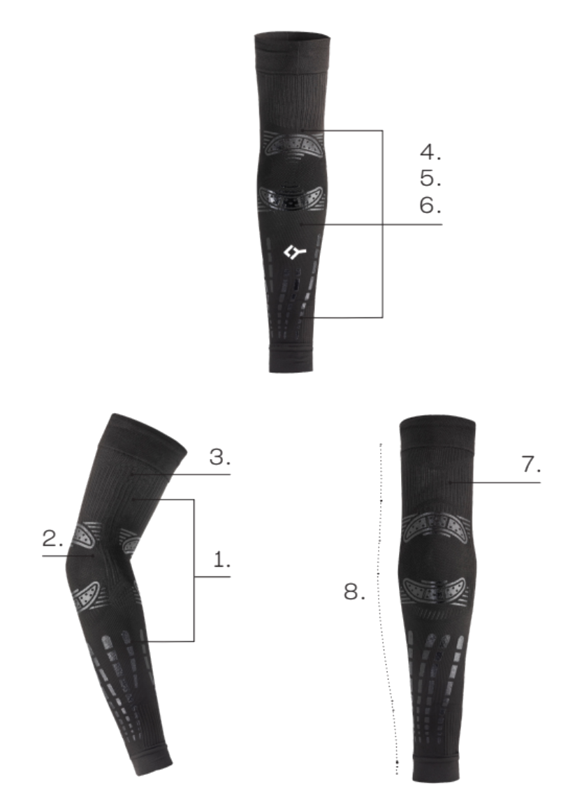 NO STRAIN Evolution biomechanical features infographic
